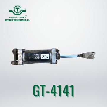 Pneumatic piston
