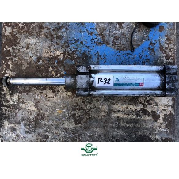 Pneumatic piston