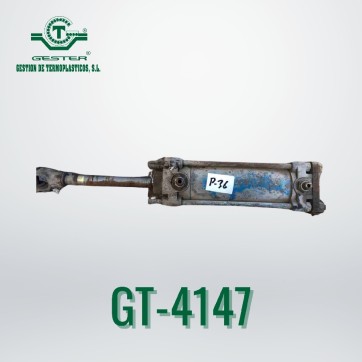 Pneumatic piston