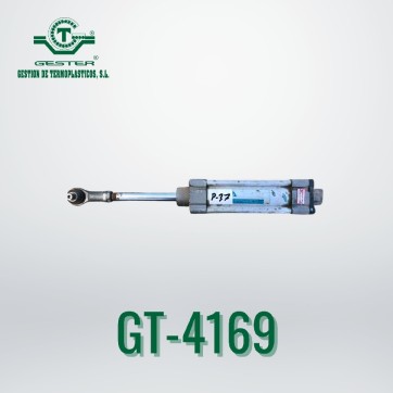 Pneumatic piston