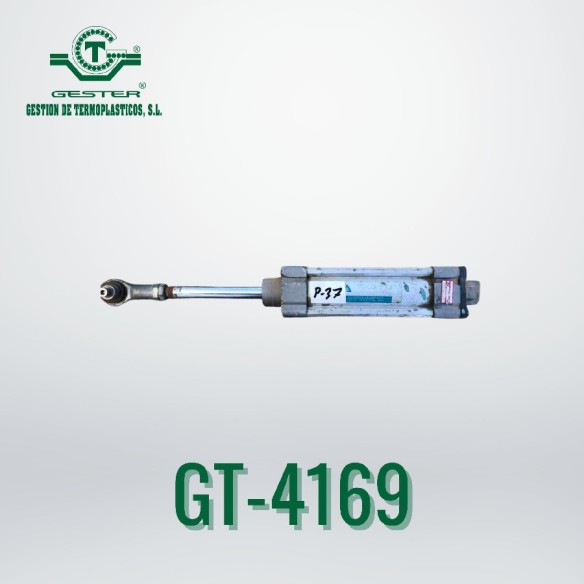 Pneumatic piston