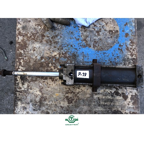 Pneumatic piston