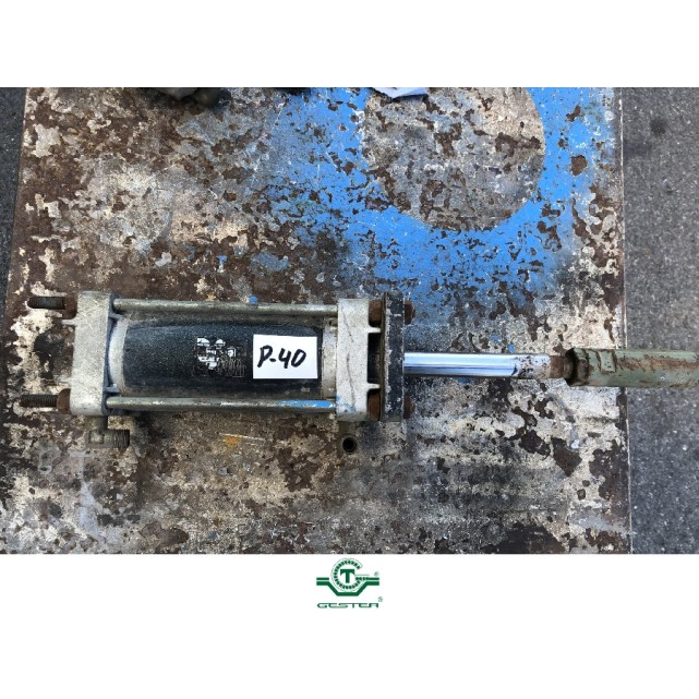 Pneumatic piston
