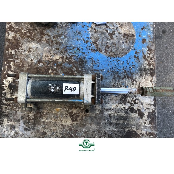 Pneumatic piston