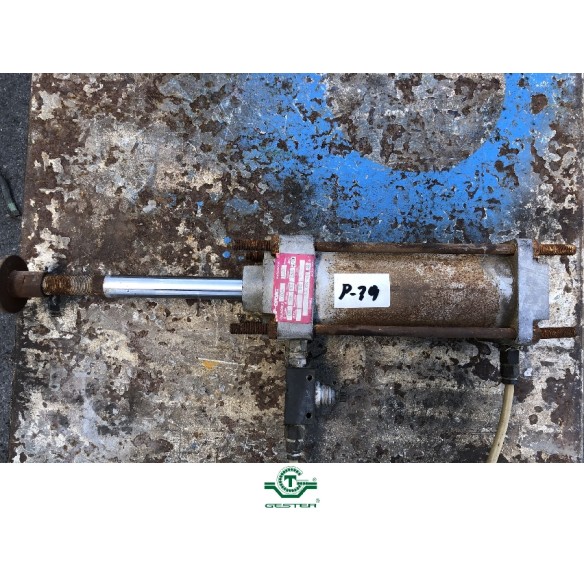 Pneumatic piston