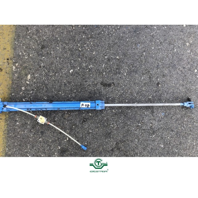 Pneumatic piston