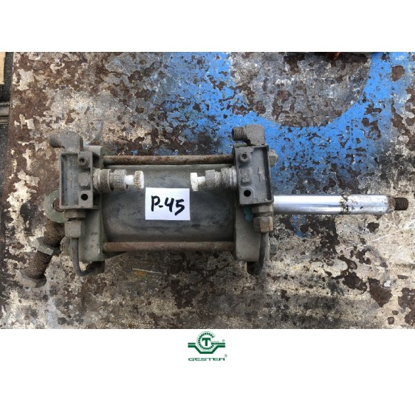 Pneumatic piston