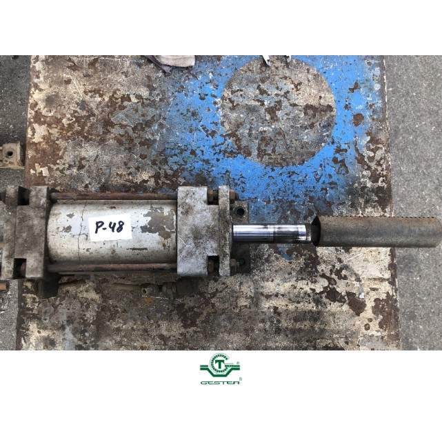 Pneumatic piston