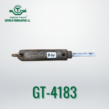 Pneumatic piston