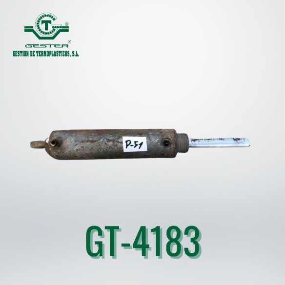 Pneumatic piston