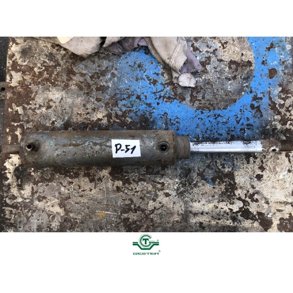 Pneumatic piston