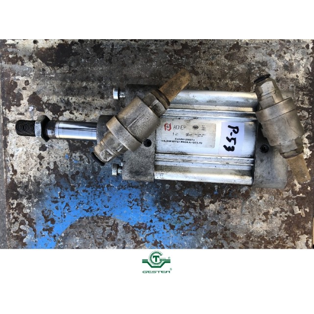 Pneumatic piston