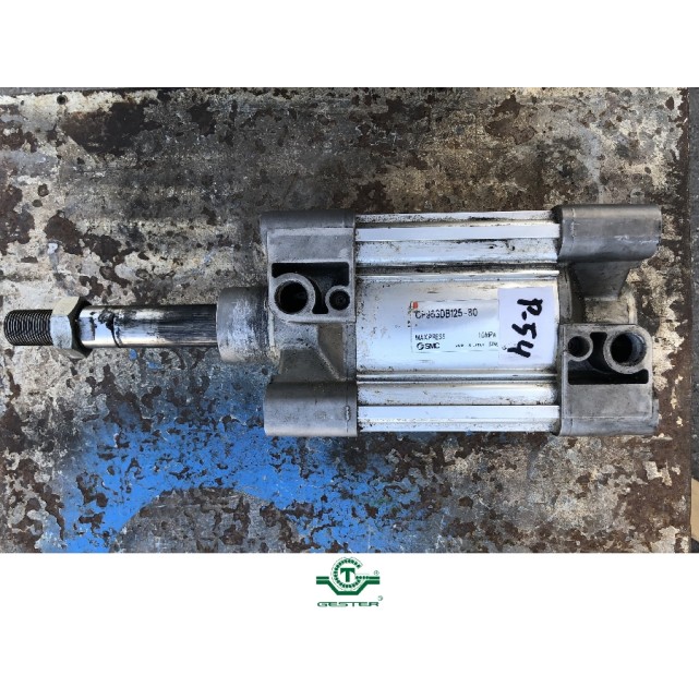 Pneumatic piston