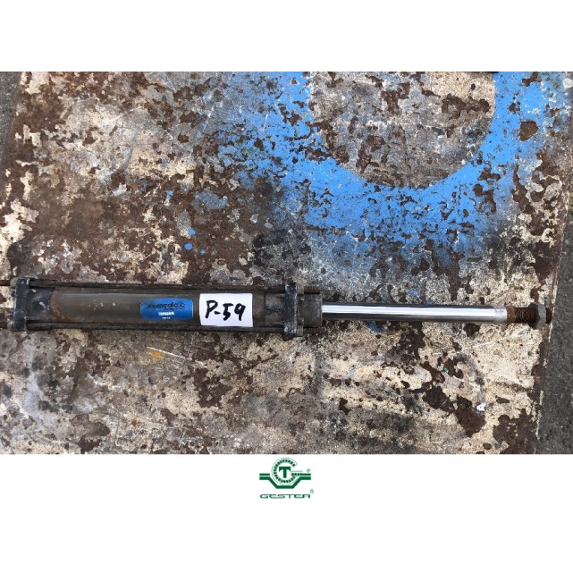 Pneumatic piston
