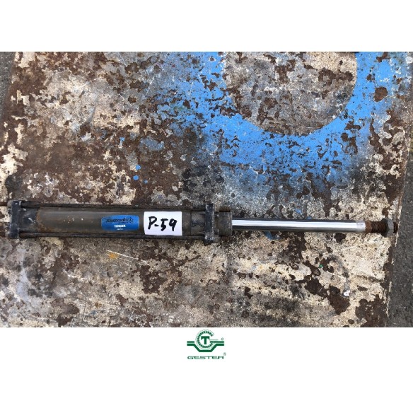 Pneumatic piston