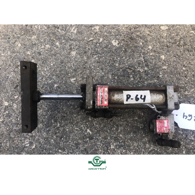 Pneumatic piston