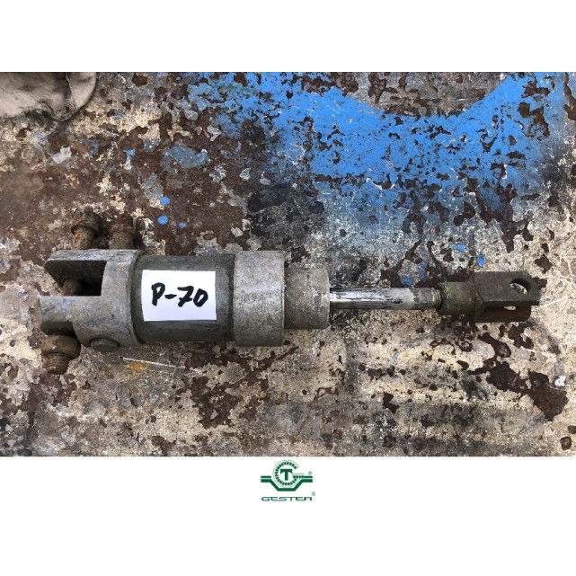 Pneumatic piston