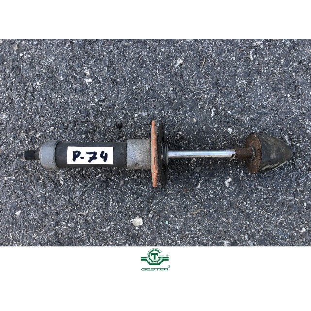 Pneumatic piston