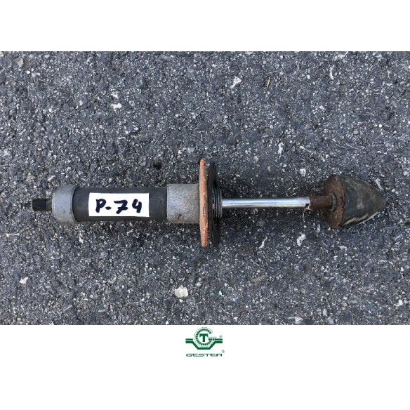 Pneumatic piston