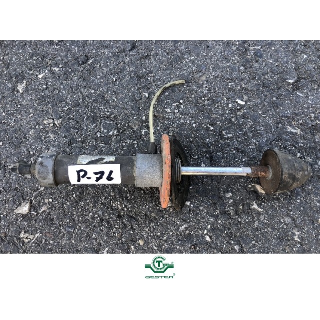 Pneumatic piston