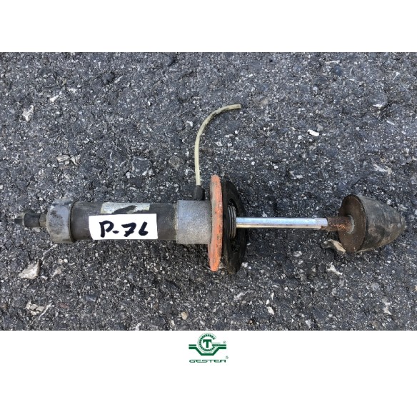 Pneumatic piston