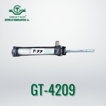 Pneumatic piston