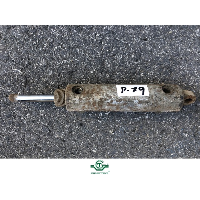 Pneumatic piston