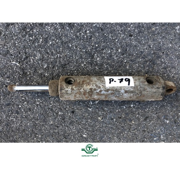 Pneumatic piston
