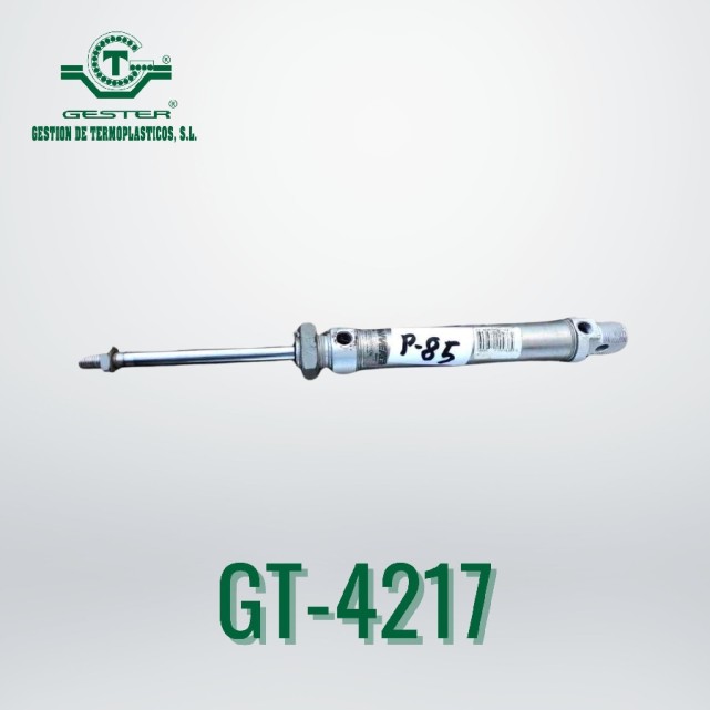 Pneumatic piston