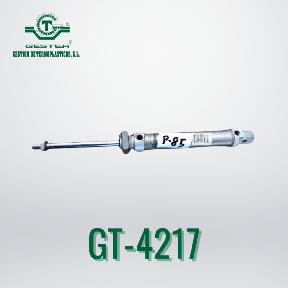 Pneumatic piston