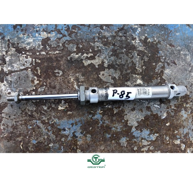 Pneumatic piston