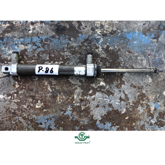 Pneumatic piston