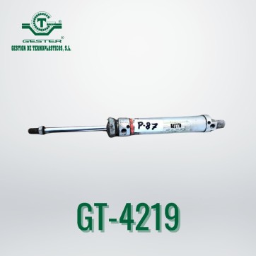 Pneumatic piston