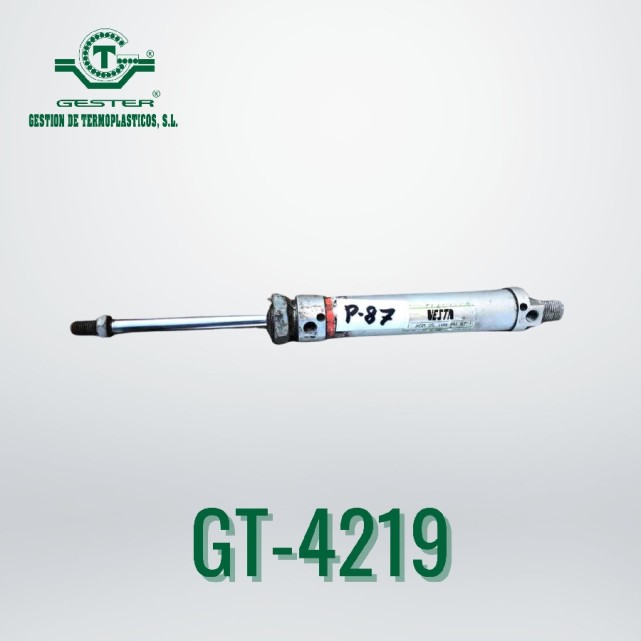 Pneumatic piston