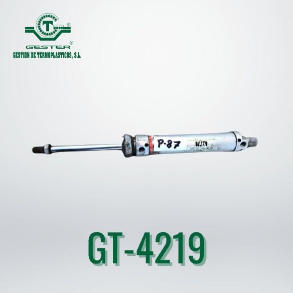 Pneumatic piston