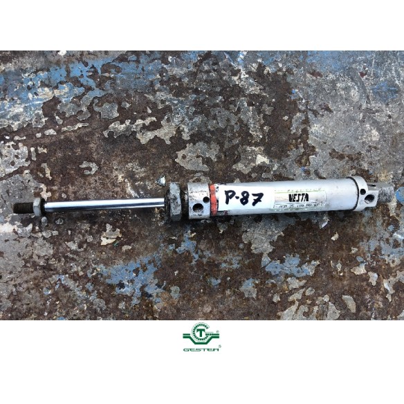 Pneumatic piston