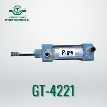 Pneumatic piston