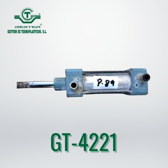 Pneumatic piston