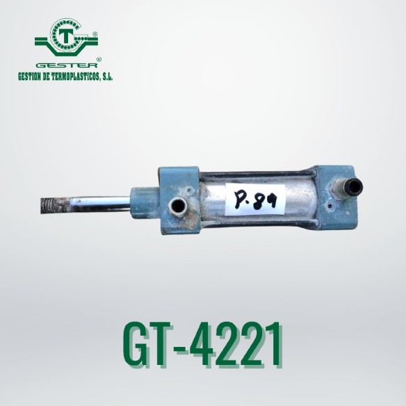 Pneumatic piston