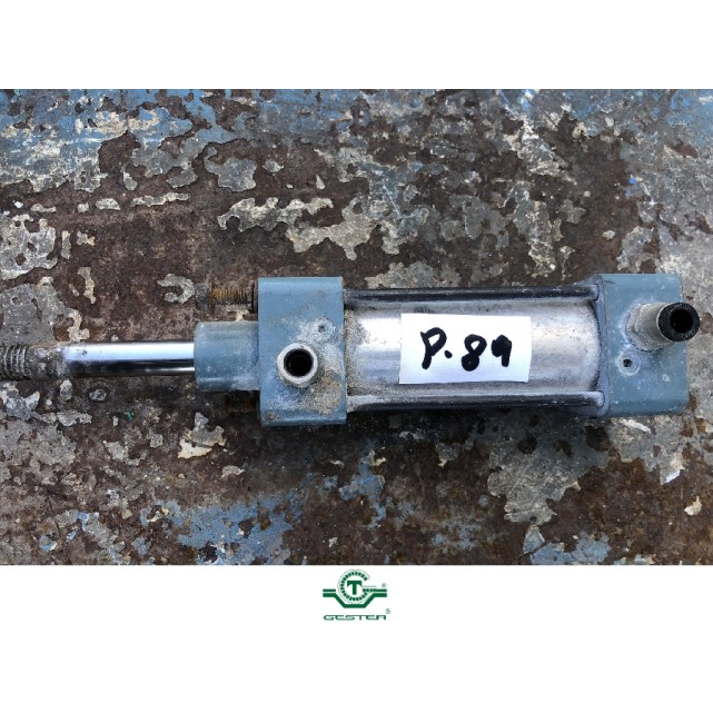 Pneumatic piston