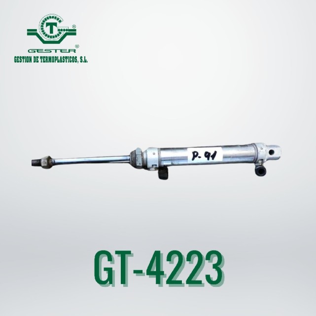 Pneumatic piston