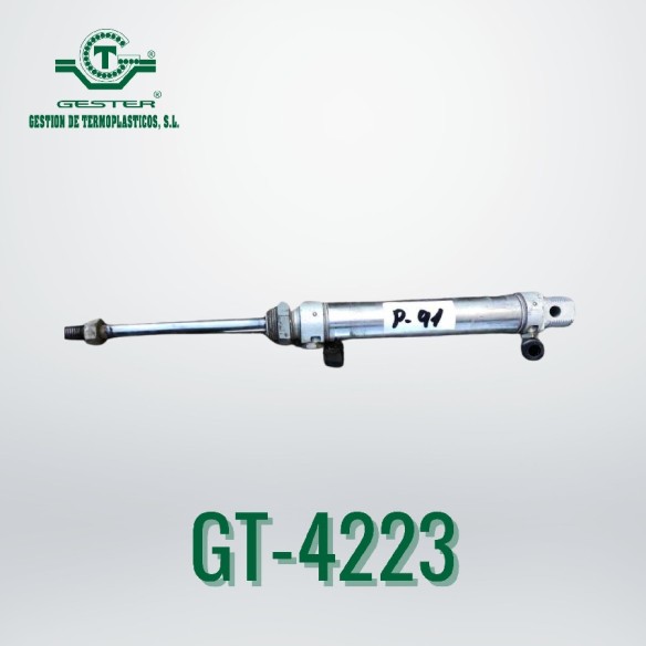 Pneumatic piston