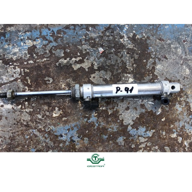 Pneumatic piston