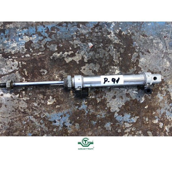 Pneumatic piston