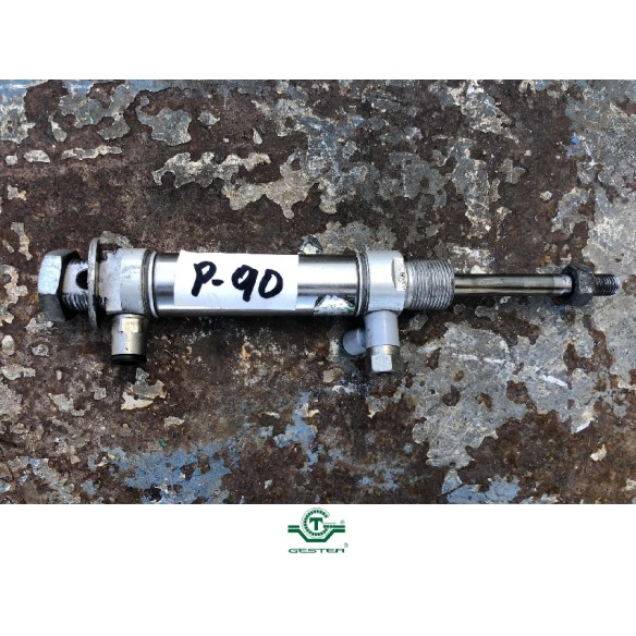 Pneumatic piston