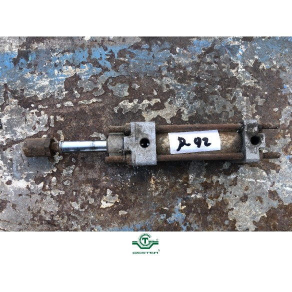 Pneumatic piston