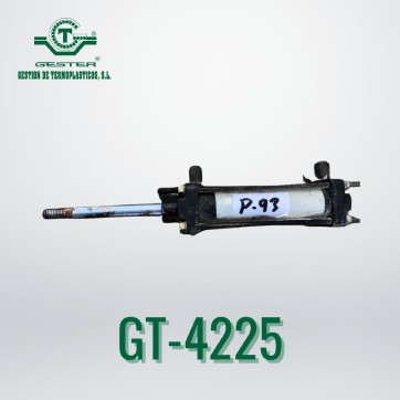 Pneumatic piston