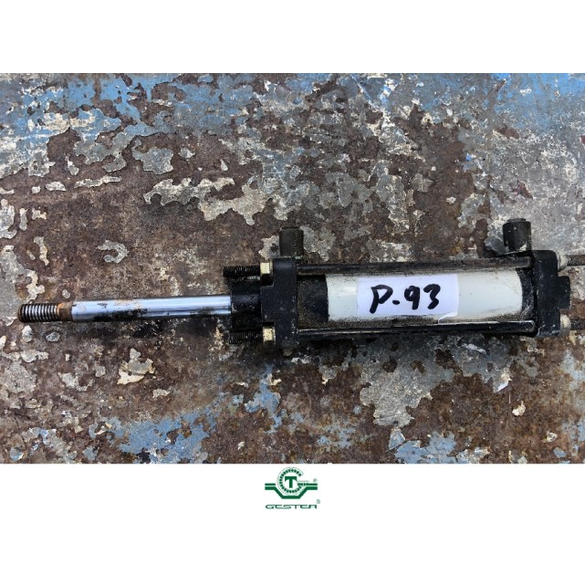 Pneumatic piston