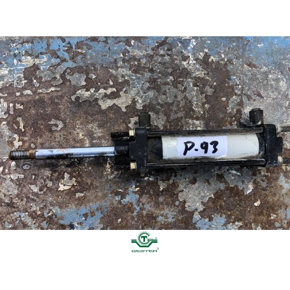 Pneumatic piston