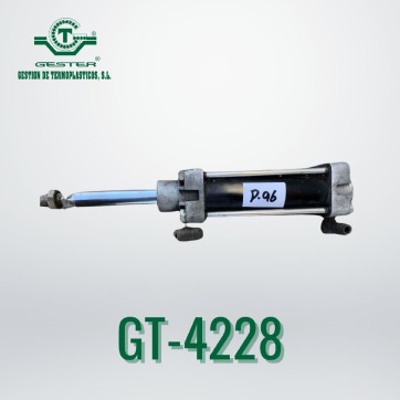 Pneumatic piston